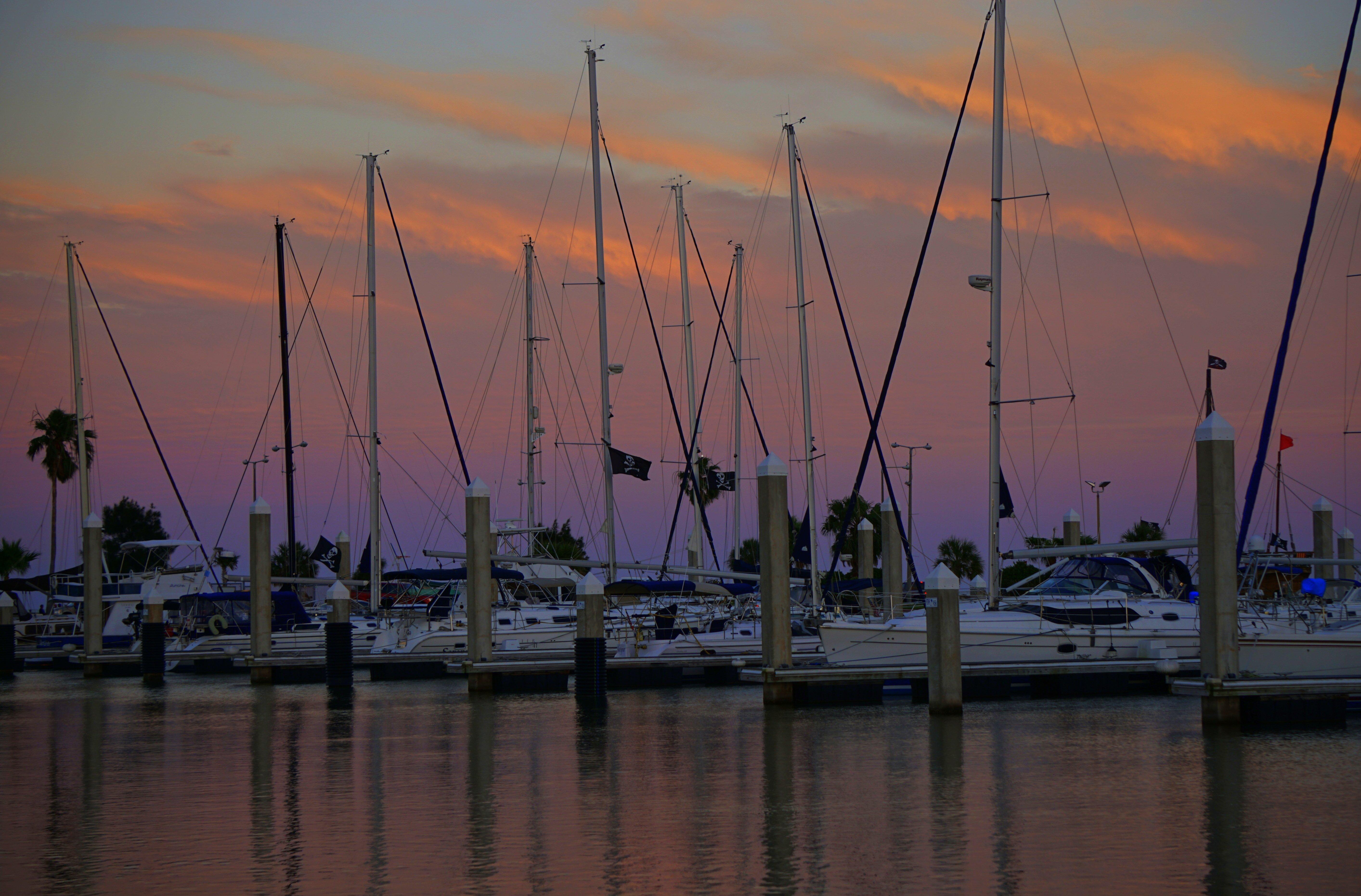 Holiday Inn Corpus Christi Downtown Marina By Ihg Exterior foto